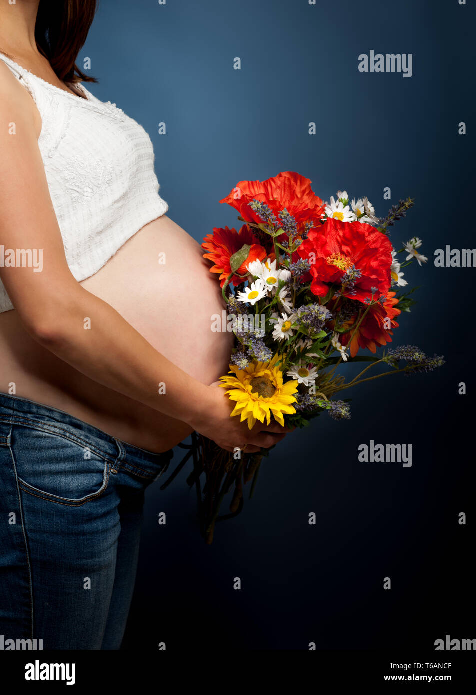 Beautiful young pregnant woman Stock Photo