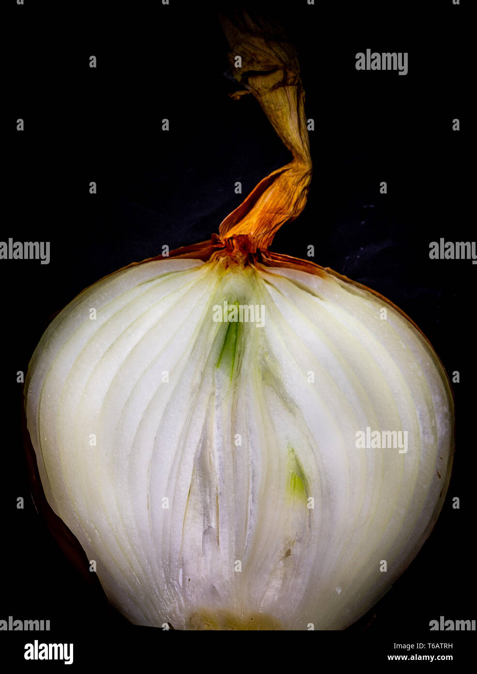 Layers of the onion hi-res stock photography and images - Alamy