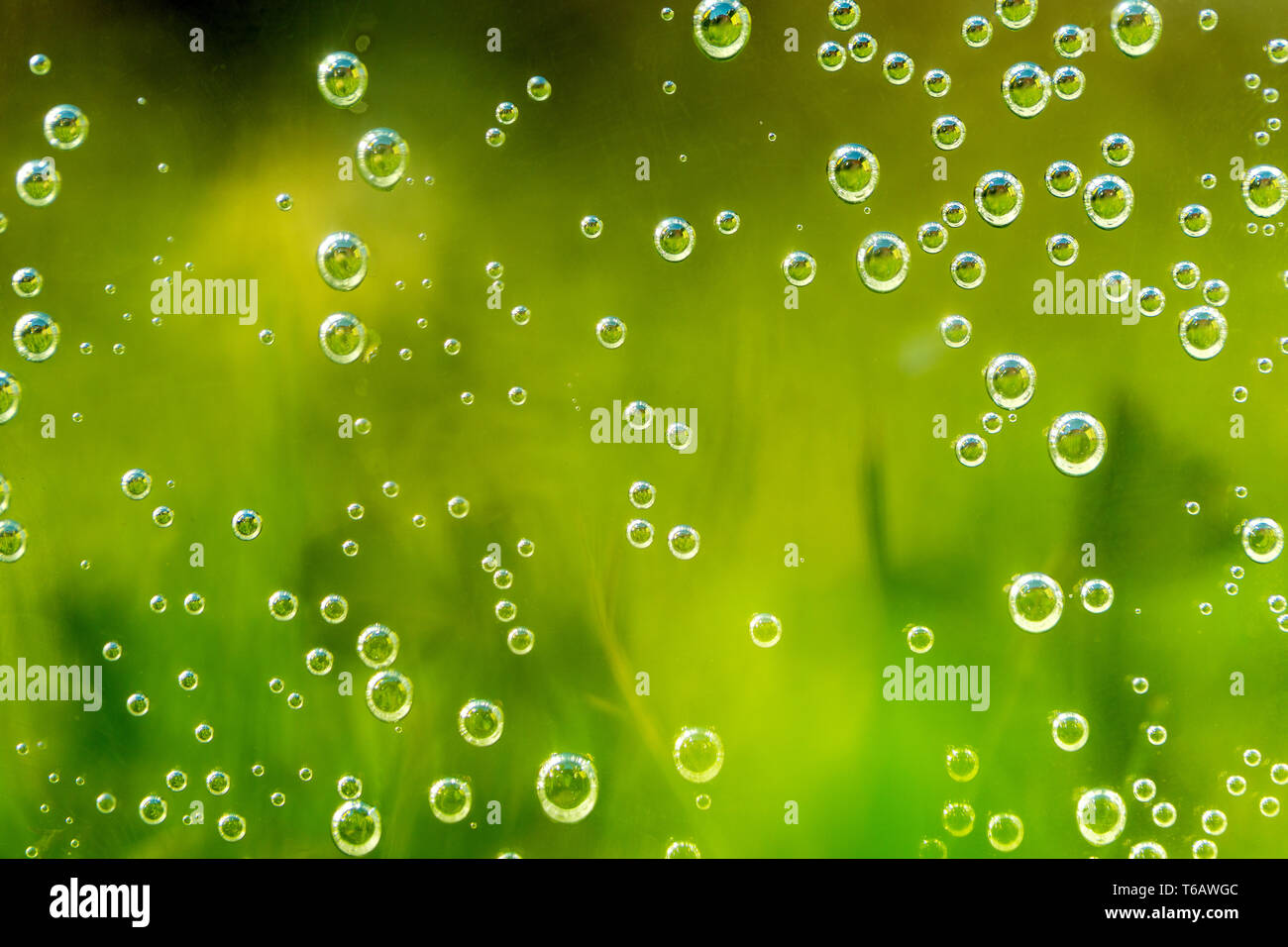 green abstract background with water drops Stock Photo - Alamy