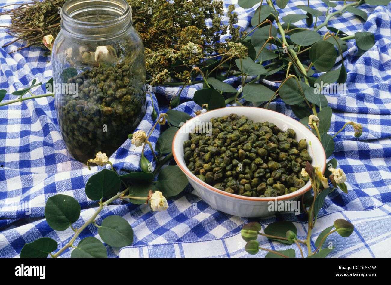 capperi, capers, food, sicilia (sicily), italy Stock Photo - Alamy