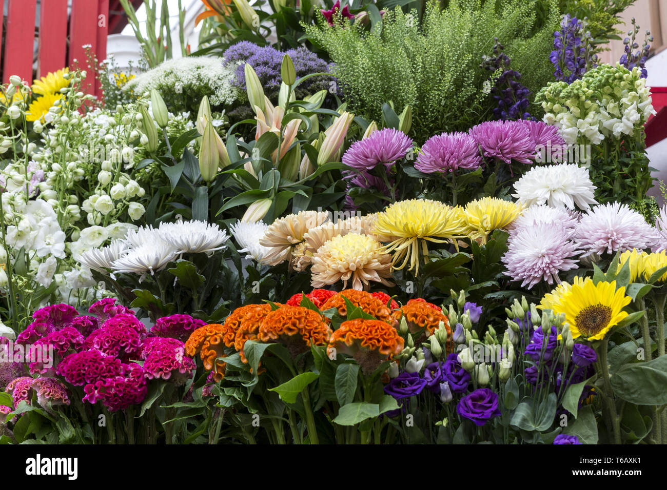 Colourful flowers in an german flower shop Stock Photo Alamy