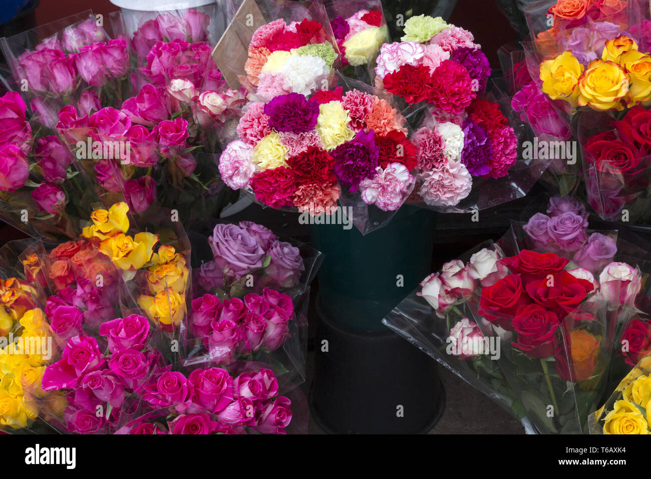 Colourful flowers in an german flower shop Stock Photo Alamy