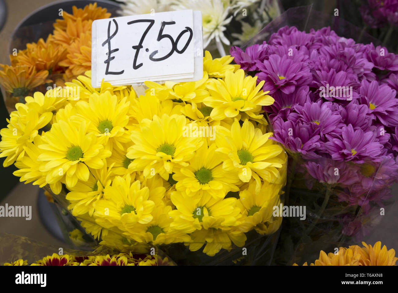 Flowe vase hires stock photography and images Alamy