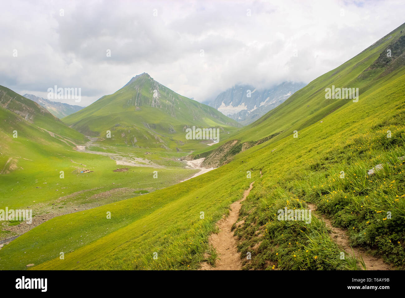 Green meadow landscape in the HImalayas. Great Lake Trek in Kashmir. Mountains in Gangabal Lake vicinity Stock Photo