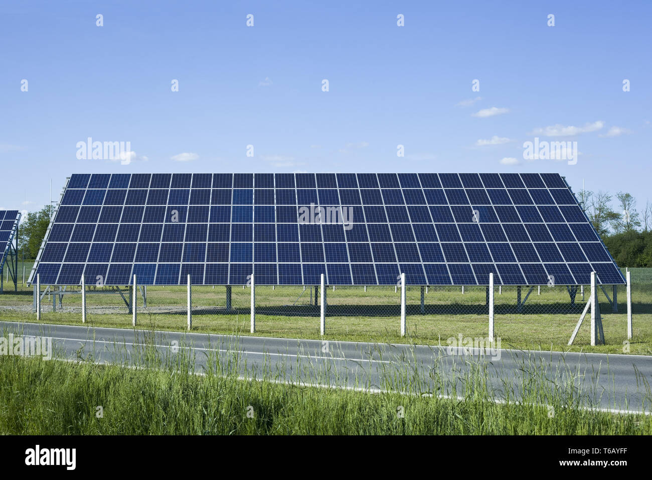 collector nike shoes