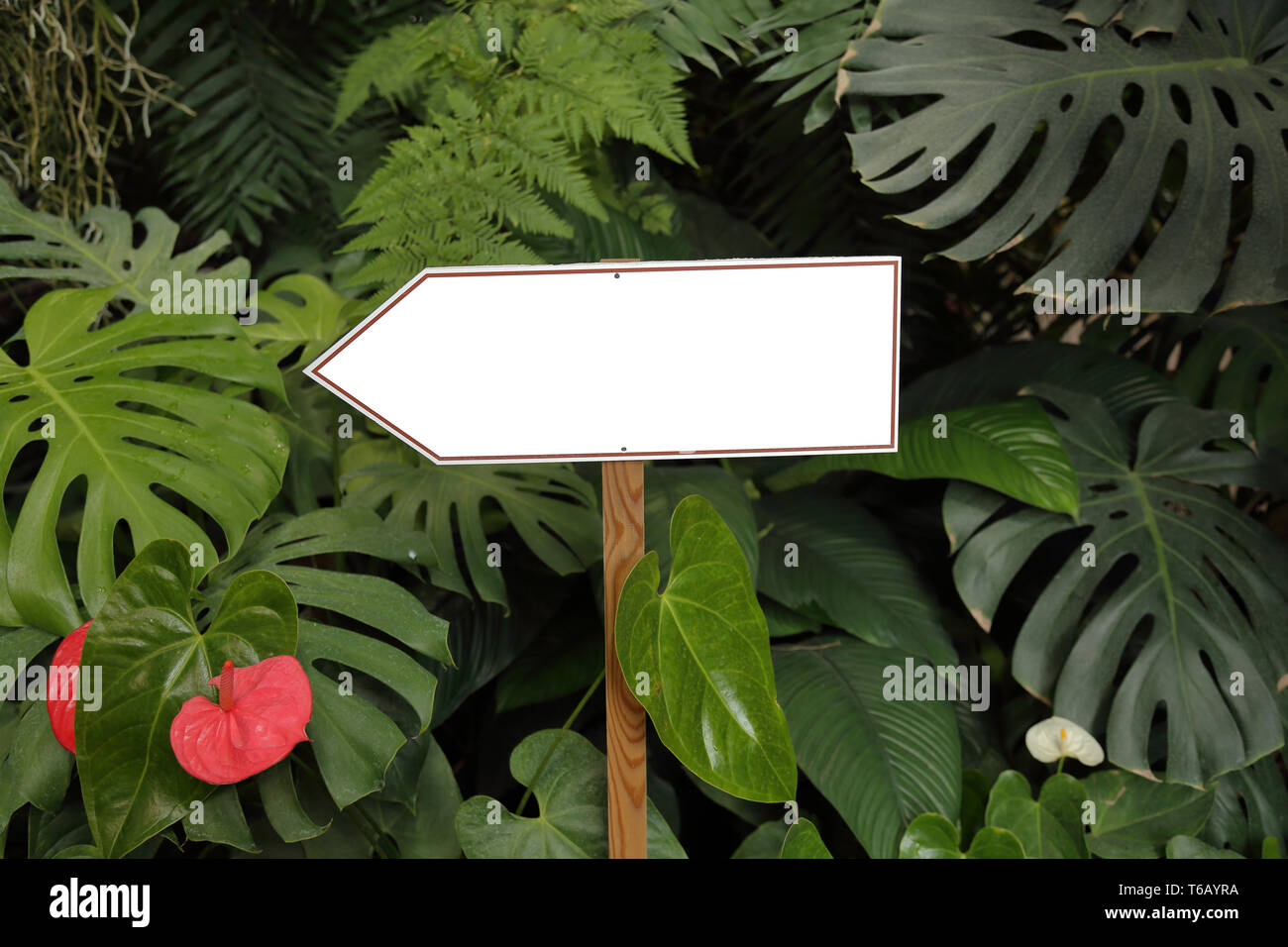 Direction pointer without words Stock Photo - Alamy