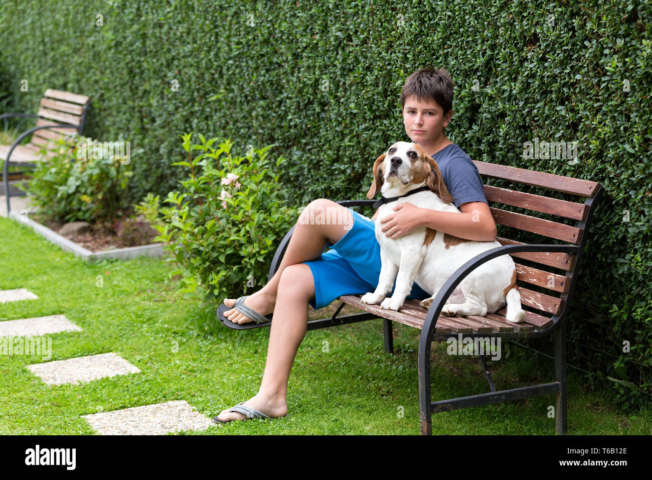 Happy young Boy and his dog Stock Photo