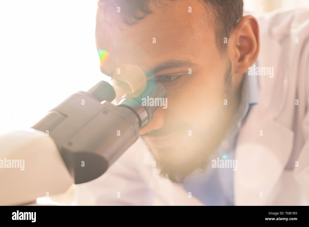 Arabian scientist studying bacteria Stock Photo