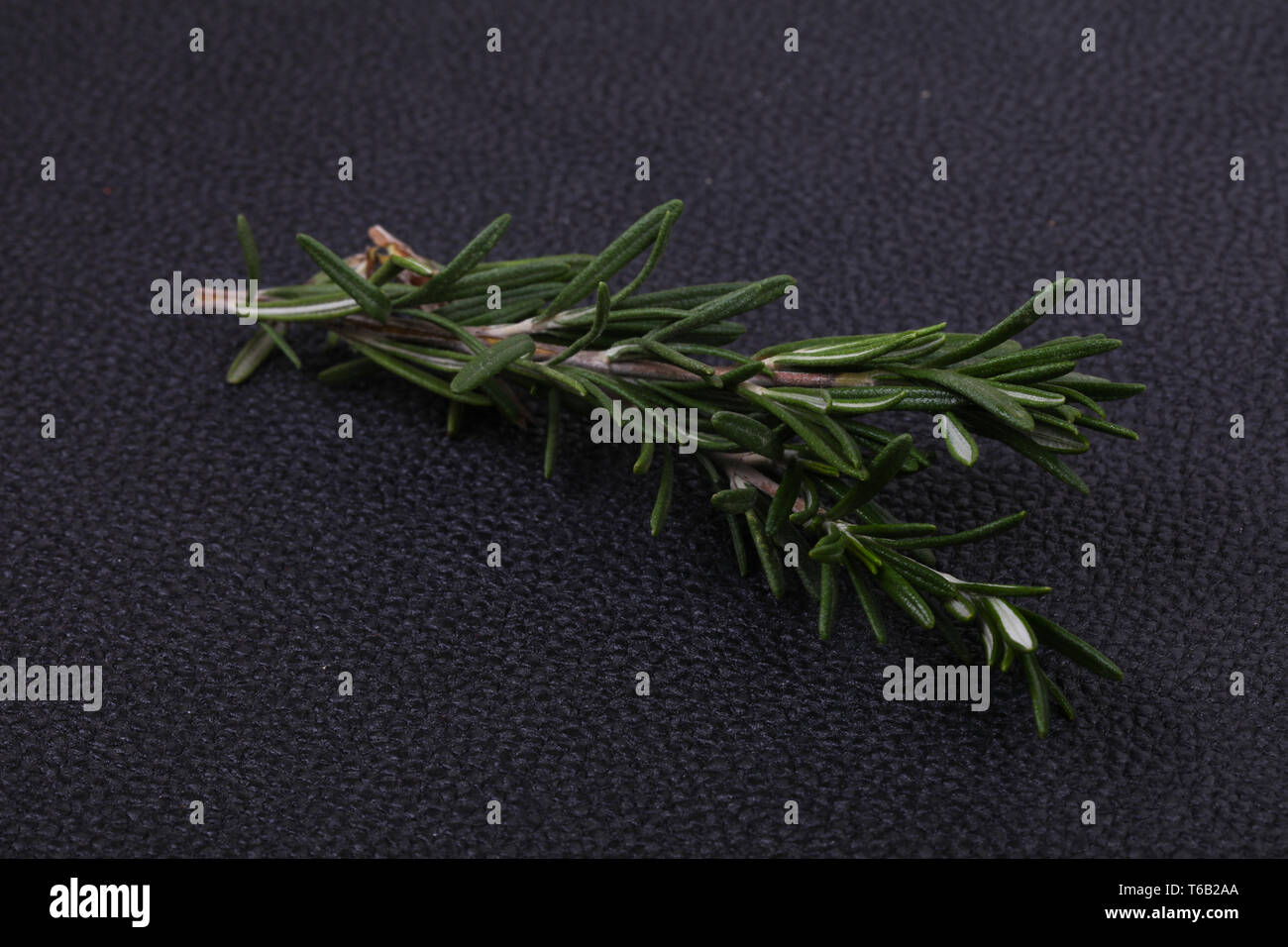 Fresh green Rosaemary branch - spice for cooking Stock Photo - Alamy
