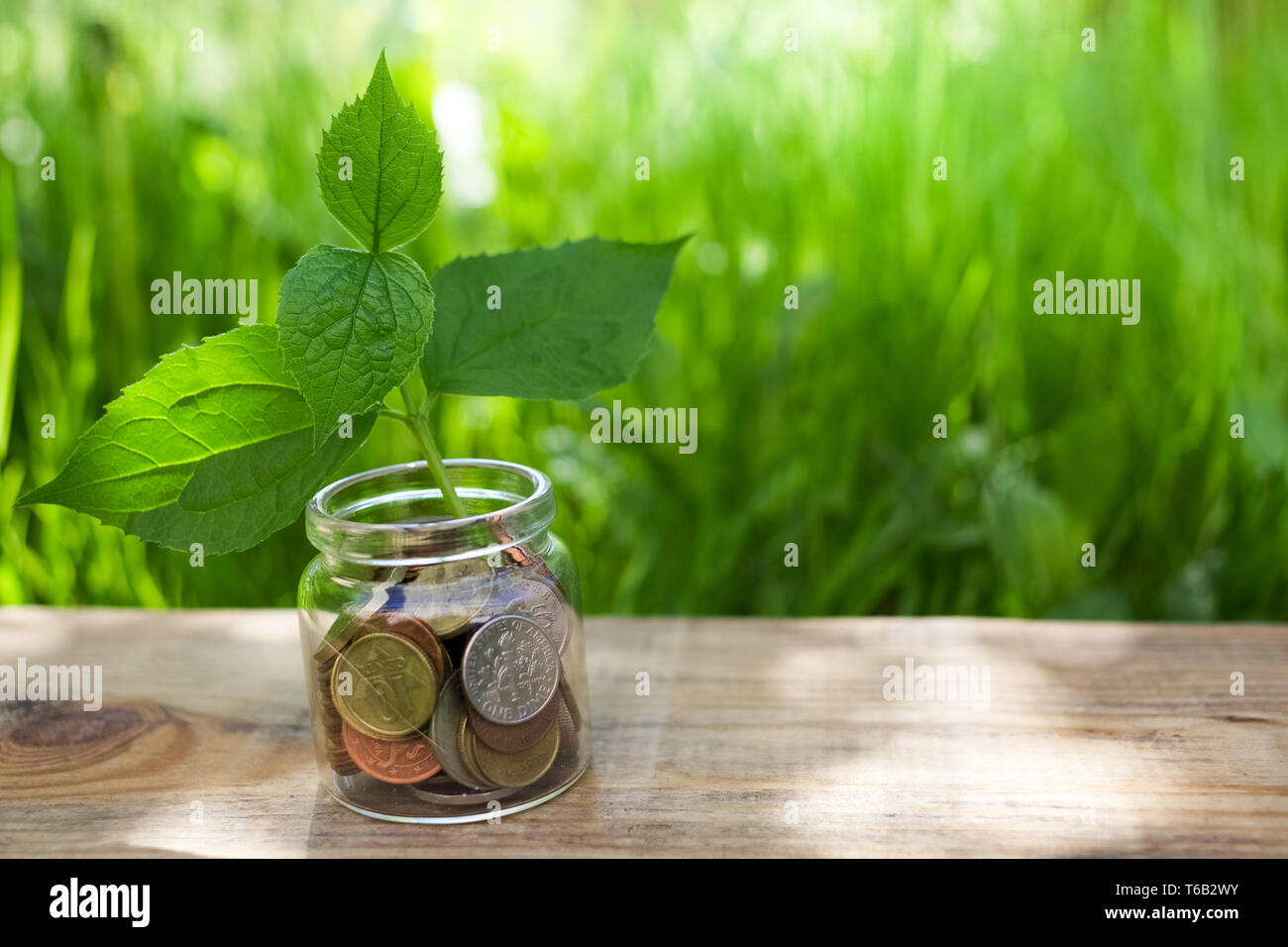 Plant growing on Coins glass jar. Concept money saving coins Stock ...