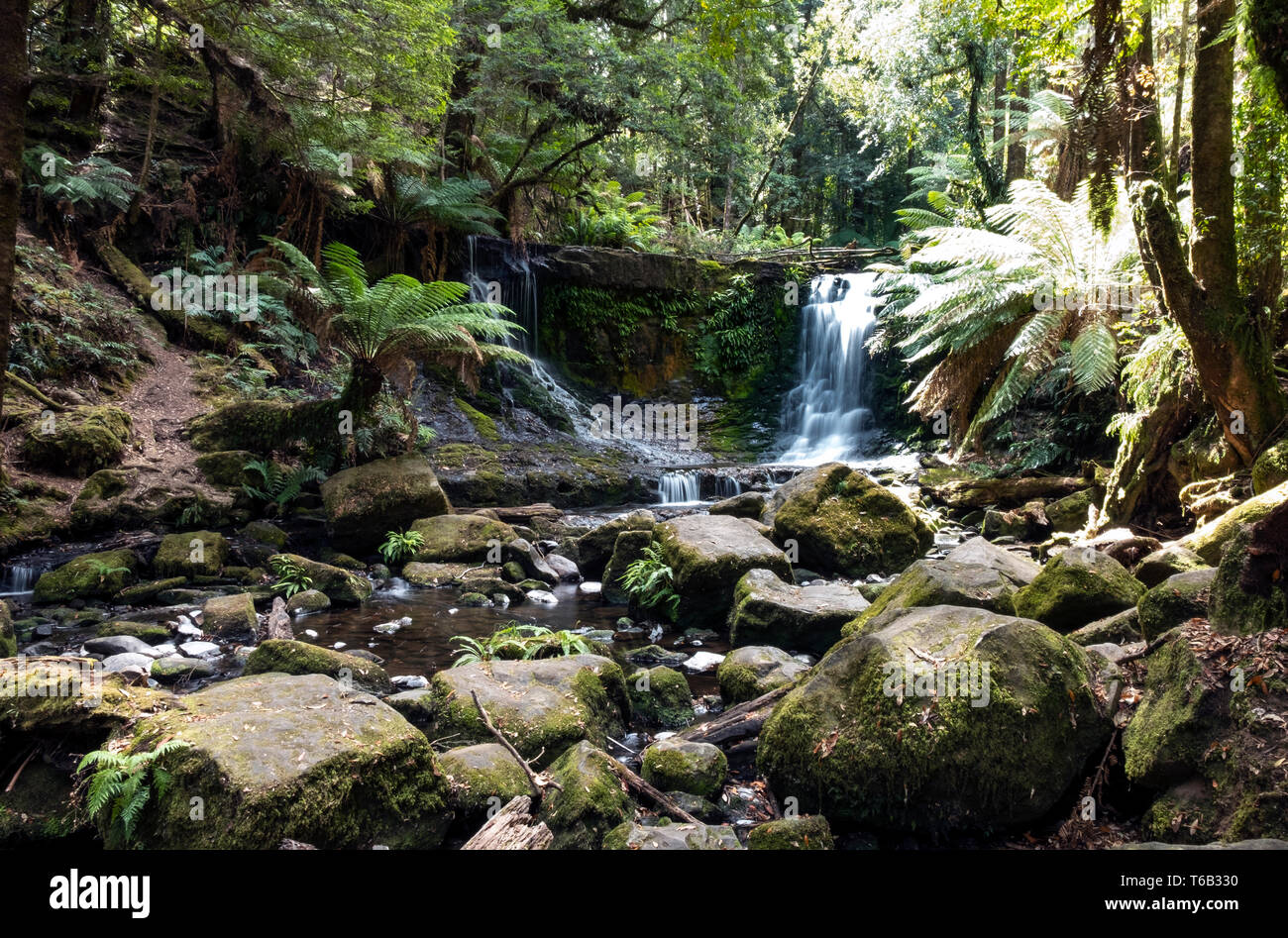Mt field national park hi-res stock photography and images - Alamy