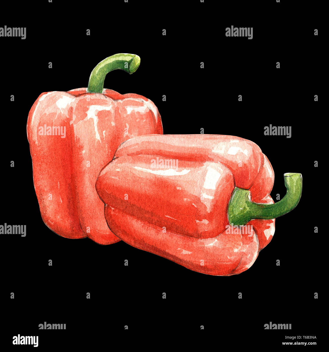 red bell pepper watercolor illustration on black background Stock Photo