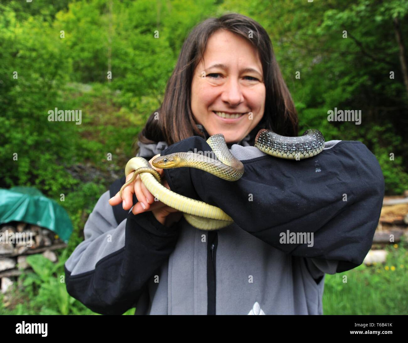 Woman with Big Aesculap Rat Snake around her Neck Stock Photo