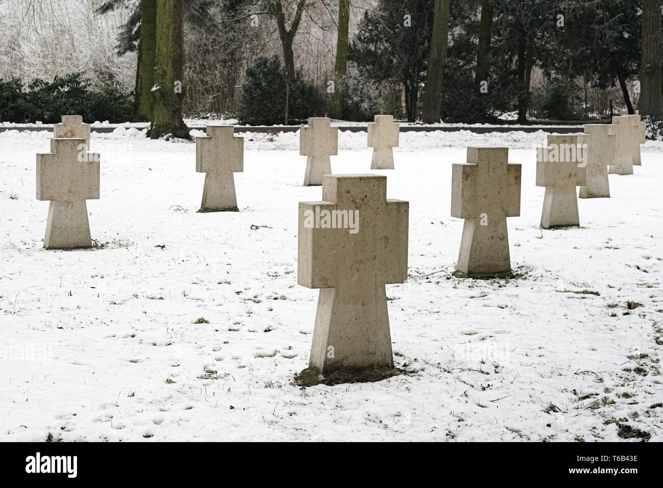 Crosses for unknown soldiers in a cemetery in Magdeburg Stock Photo