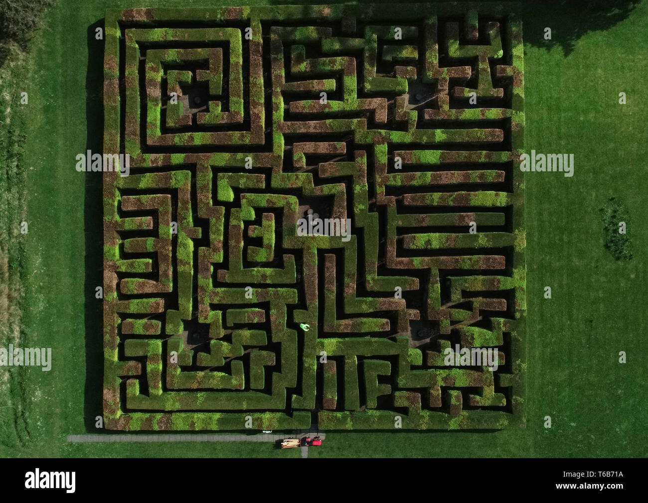 Gardner Eric Drennon give the maze at Tranquair House in Peeblessshire, the Scotland's oldest inhabited House. Stock Photo