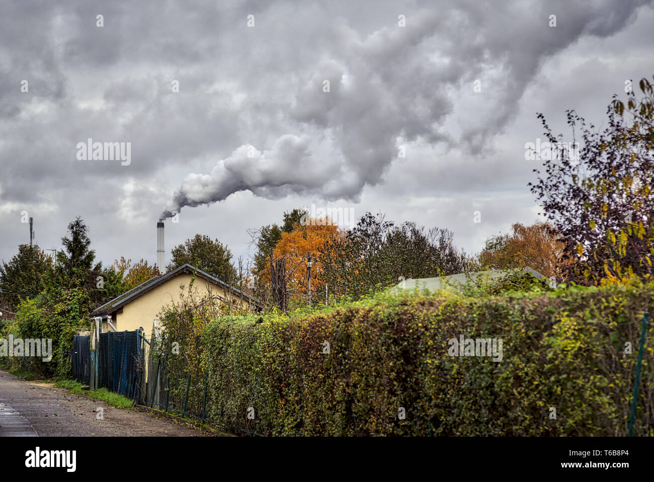 smoking chimney behind garden plots in Berlin Stock Photo