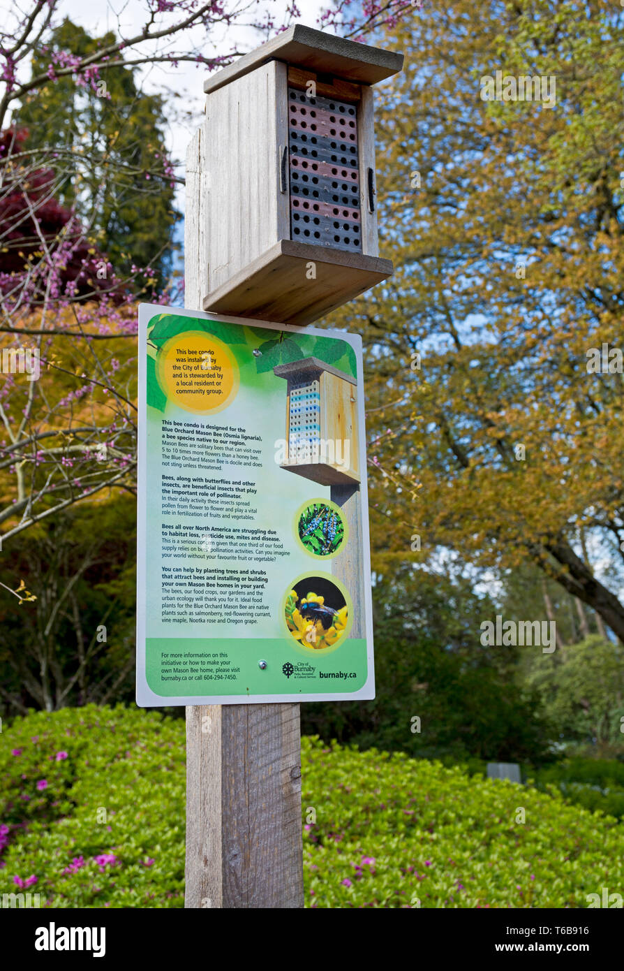 'Bee condo' erected in a park for Blue Orchard Mason bee homes or habitat. Man made mason bee house at Century Gardens in Burnaby, BC. Stock Photo