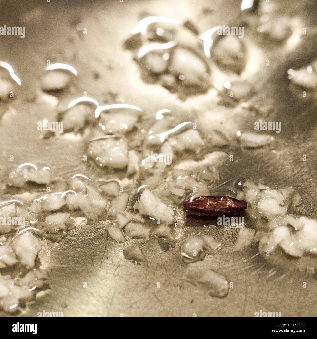 Traditional Basque meal baby eel fried with garlic in olive oil Stock