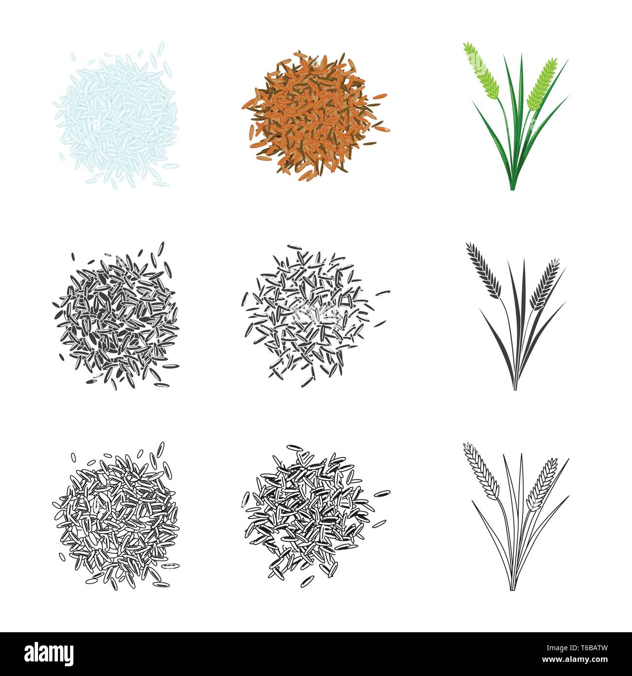 grain,rice,white,unpolished,leaf,seed,garden,cereal,panicle,heap ...