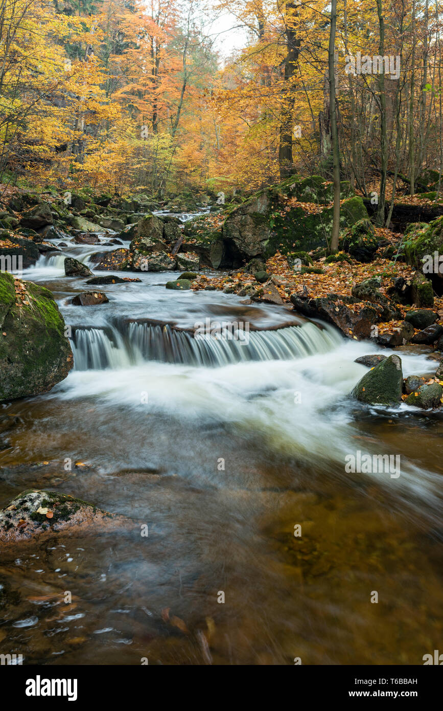 stream in a German wood at fall Stock Photo