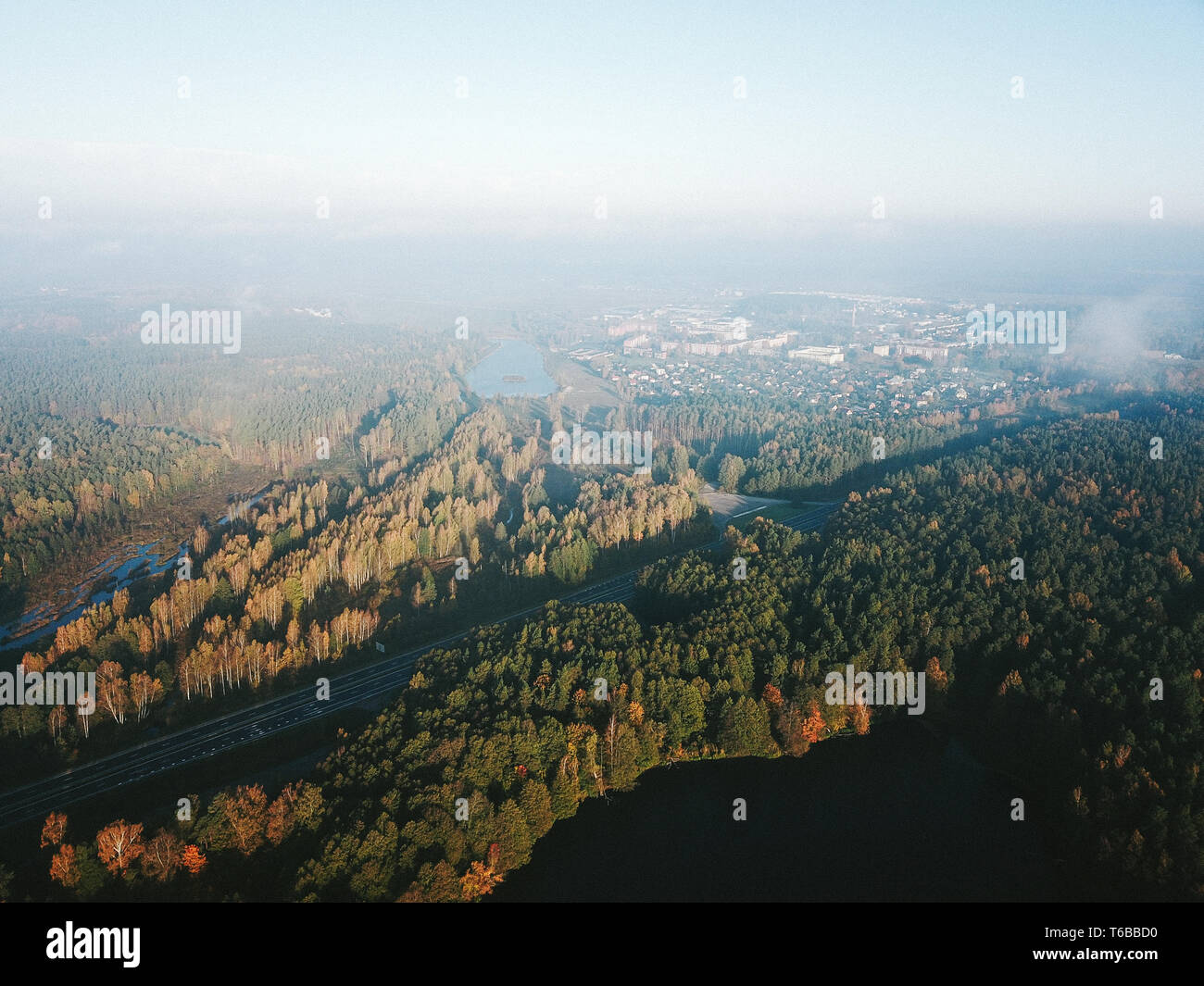 Top down aerial green trees hi-res stock photography and images - Alamy