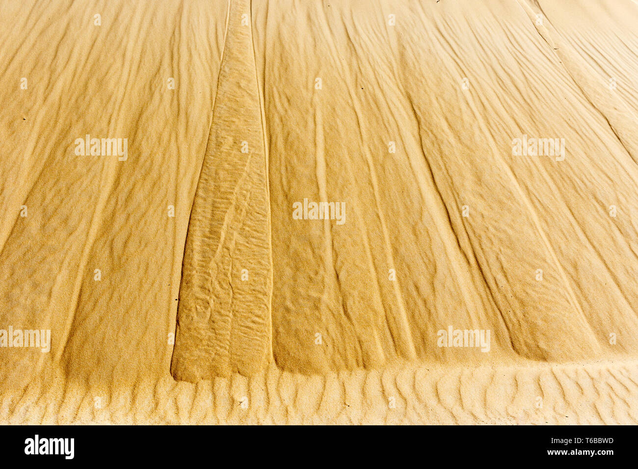 Close up of the sand dune at the beach. Stock Photo