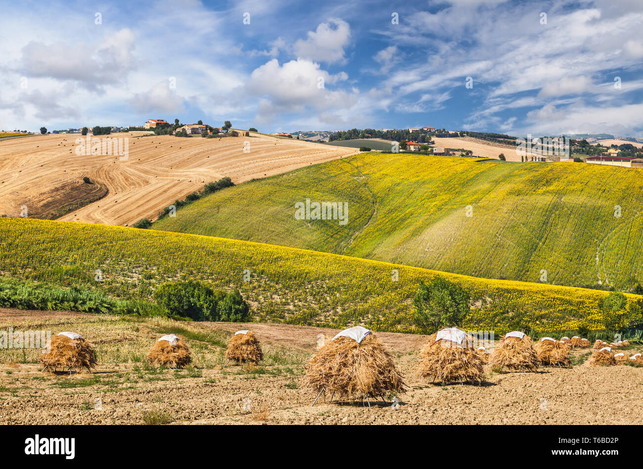 Beautiful rural landscape in Tuscany, Italy Stock Photo