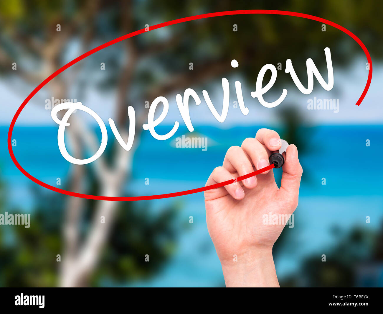 Man Hand writing Overview with black marker on visual screen Stock Photo
