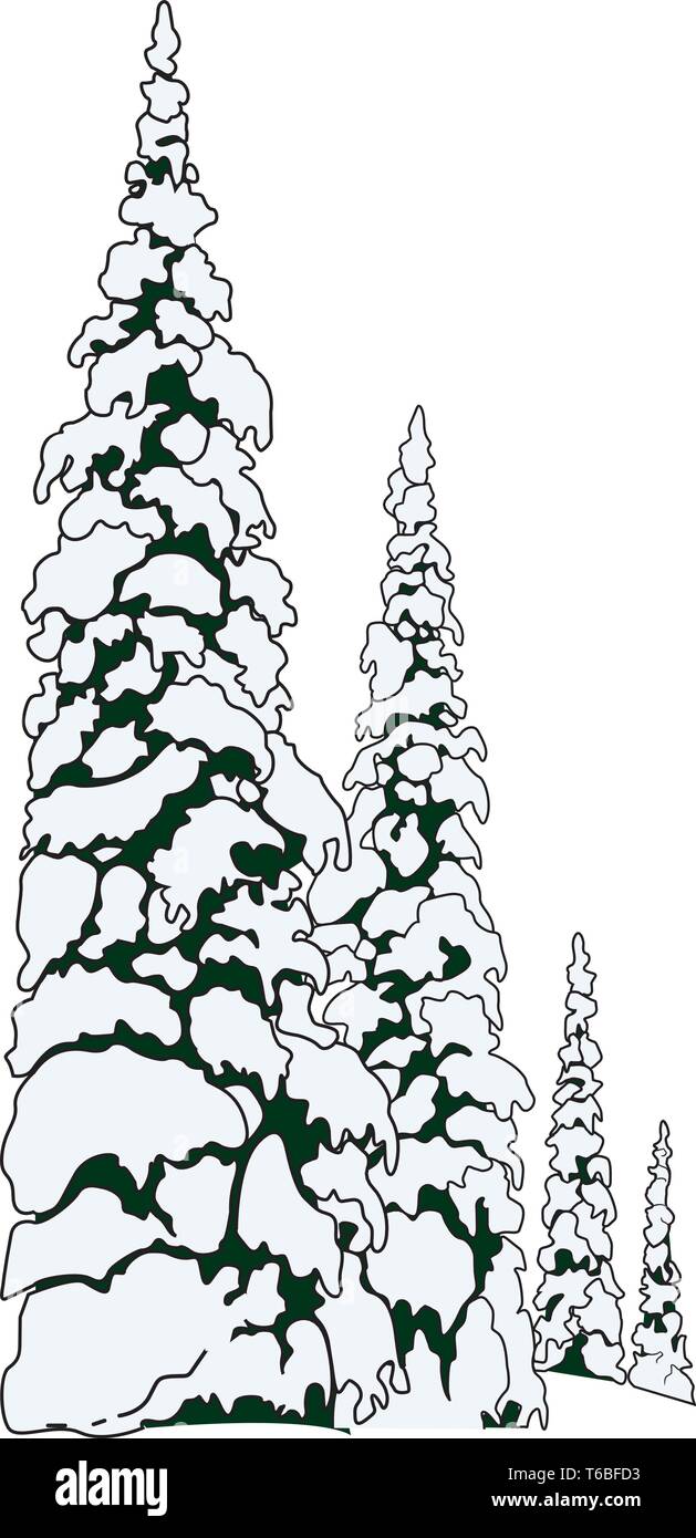 Snowy Fir Tree Vector Illustration Stock Vector Image & Art - Alamy