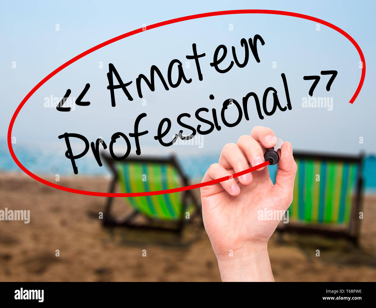 Man Hand writing Amateur - Professional with black marker on visual ...