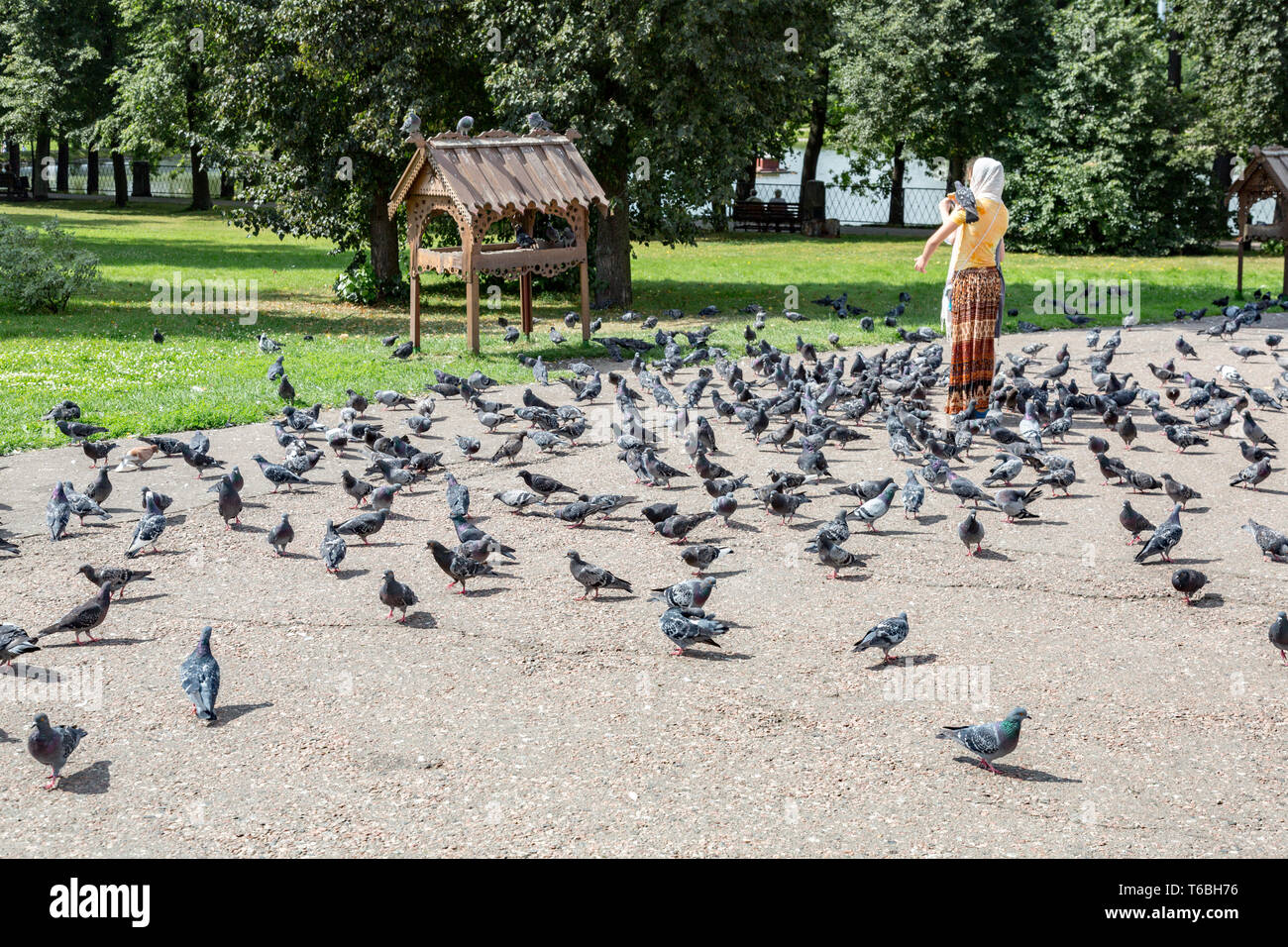 Pigeons on city pavement Stock Photo