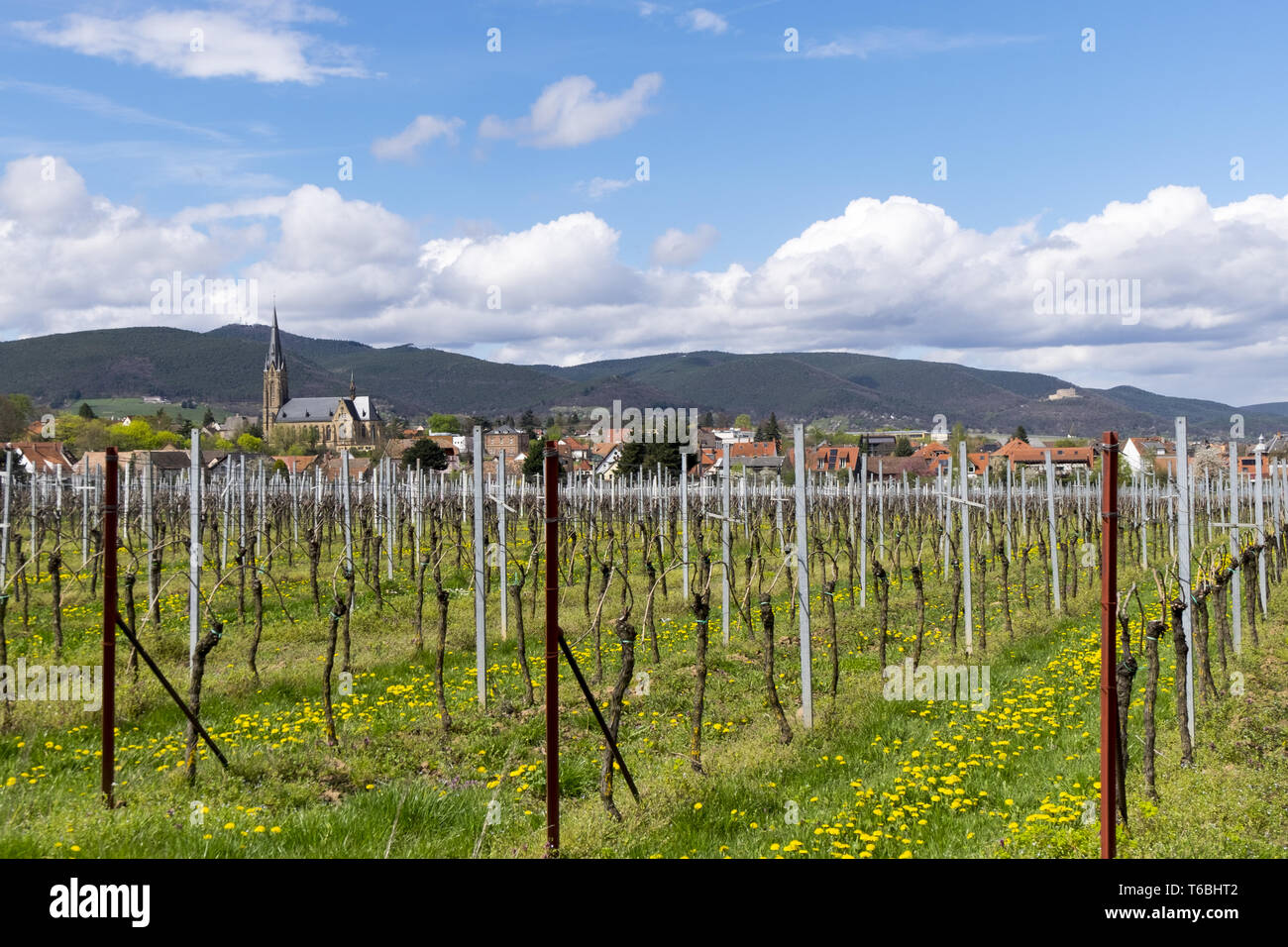 Wine village Birkweiler Stock Photo