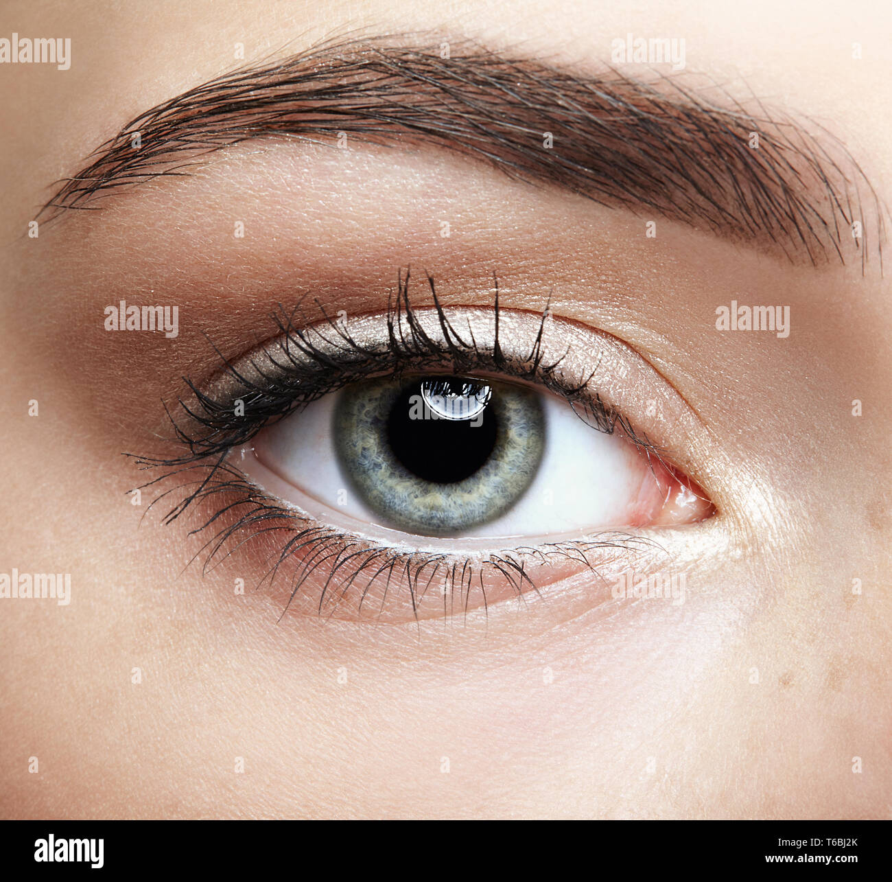 Closeup macro portrait of female face. Human girl eye with day beauty ...