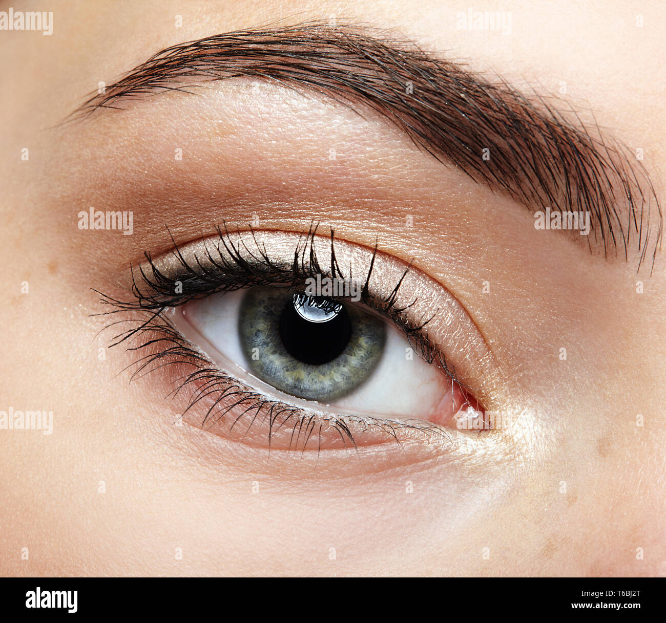 Closeup macro portrait of female face. Human girl eye with day beauty ...