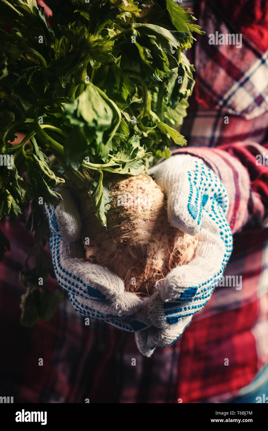 Greenery crop hi-res stock photography and images - Alamy