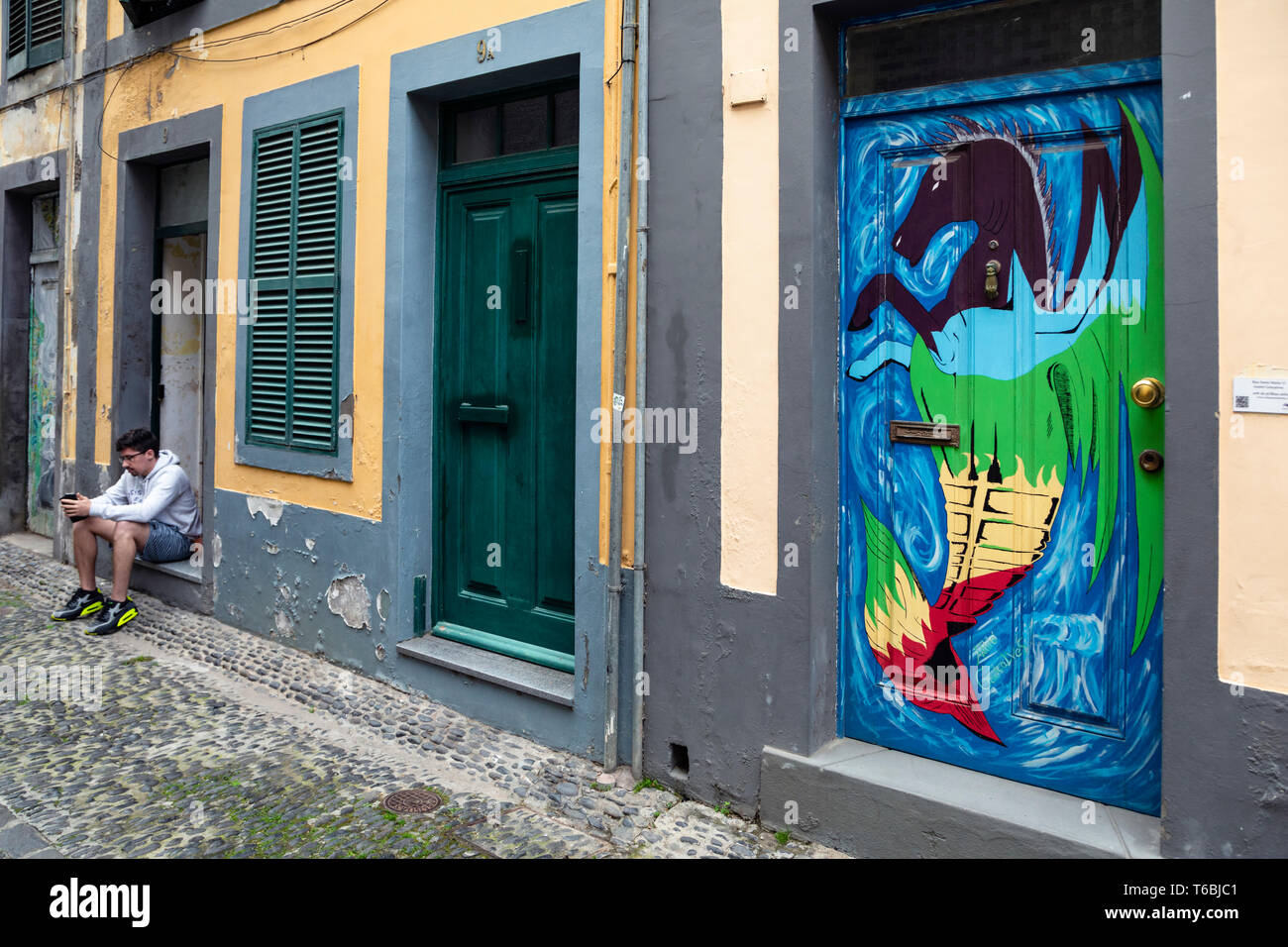 Murals painted as part of the Art of the Open Doors project in the Zona Velha (Old Town) area of Funchal, Madeira Stock Photo
