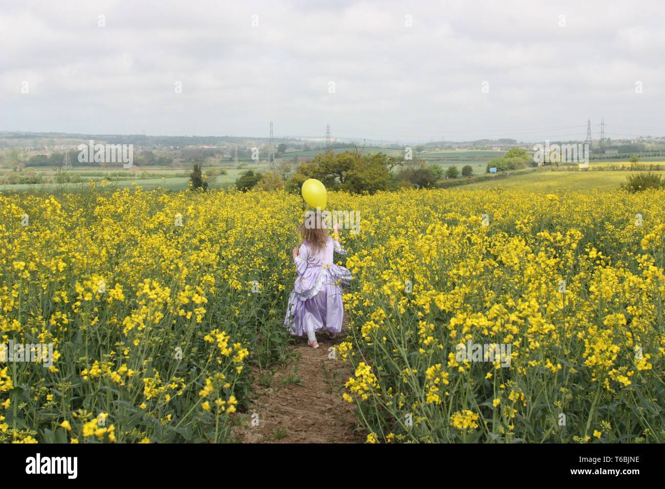 Girl in purple dress in a rapeseed field Stock Photo - Alamy