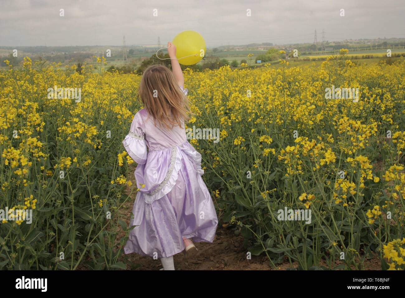 Girl in purple dress in a rapeseed field Stock Photo - Alamy