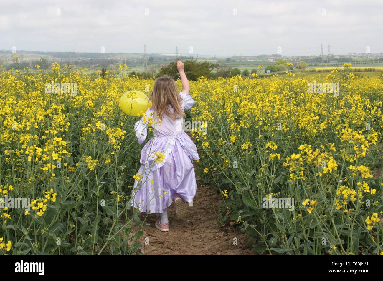 Girl in purple dress in a rapeseed field Stock Photo - Alamy
