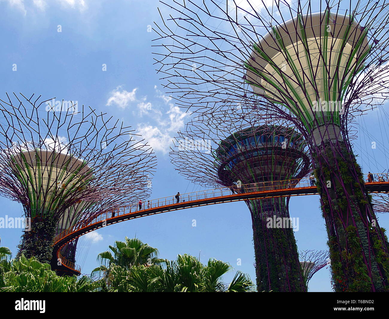 In Singapore S Famous Gardens By The Bay Botanical Park The