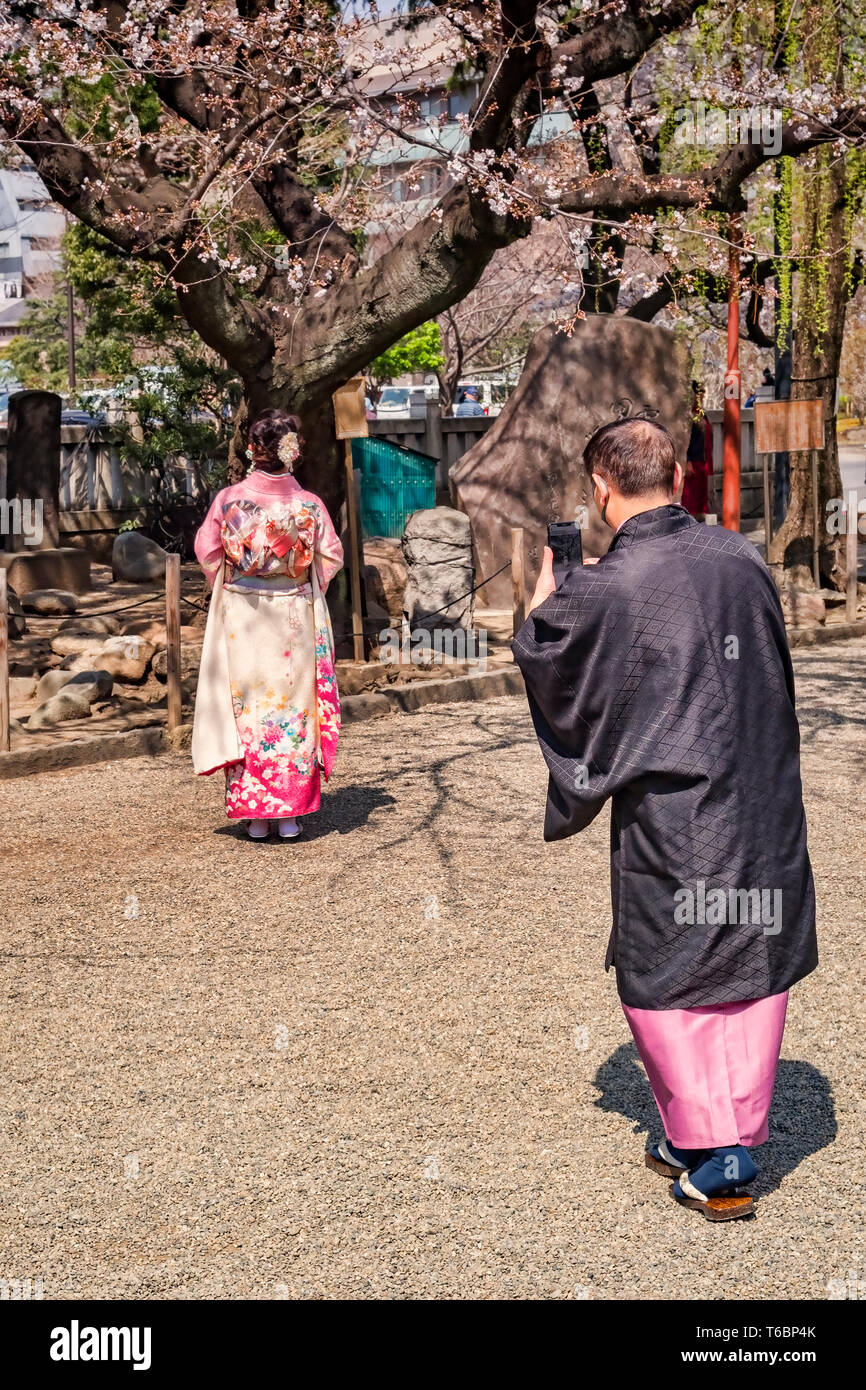 25 March 2019: Tokyo, Japan - Man photographing woman under cherry blossom in the grounds of the Asakusa Buddhist shrine in Tokyo; both are wearing... Stock Photo