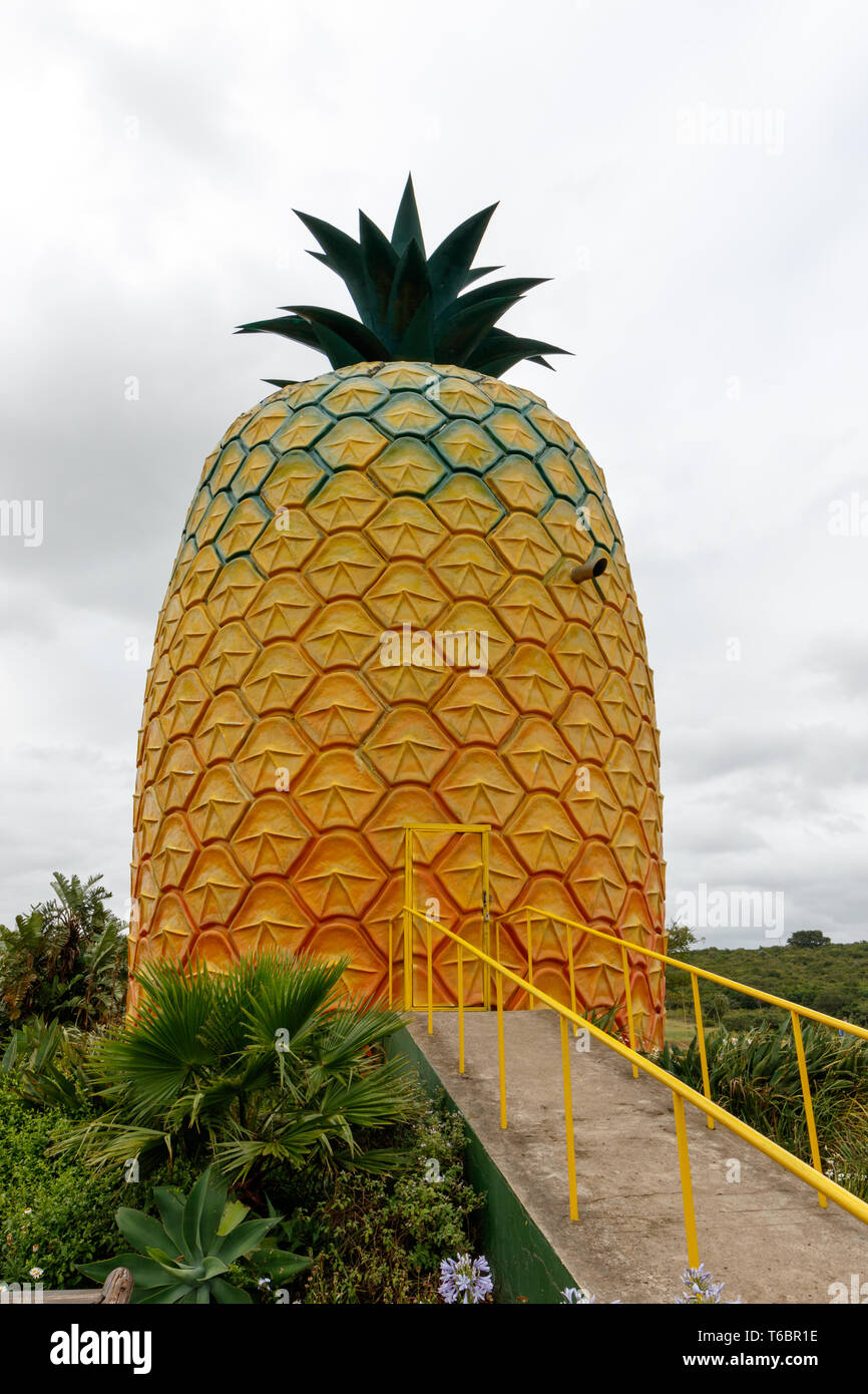 Big Pineapple Bathurst Stock Photo
