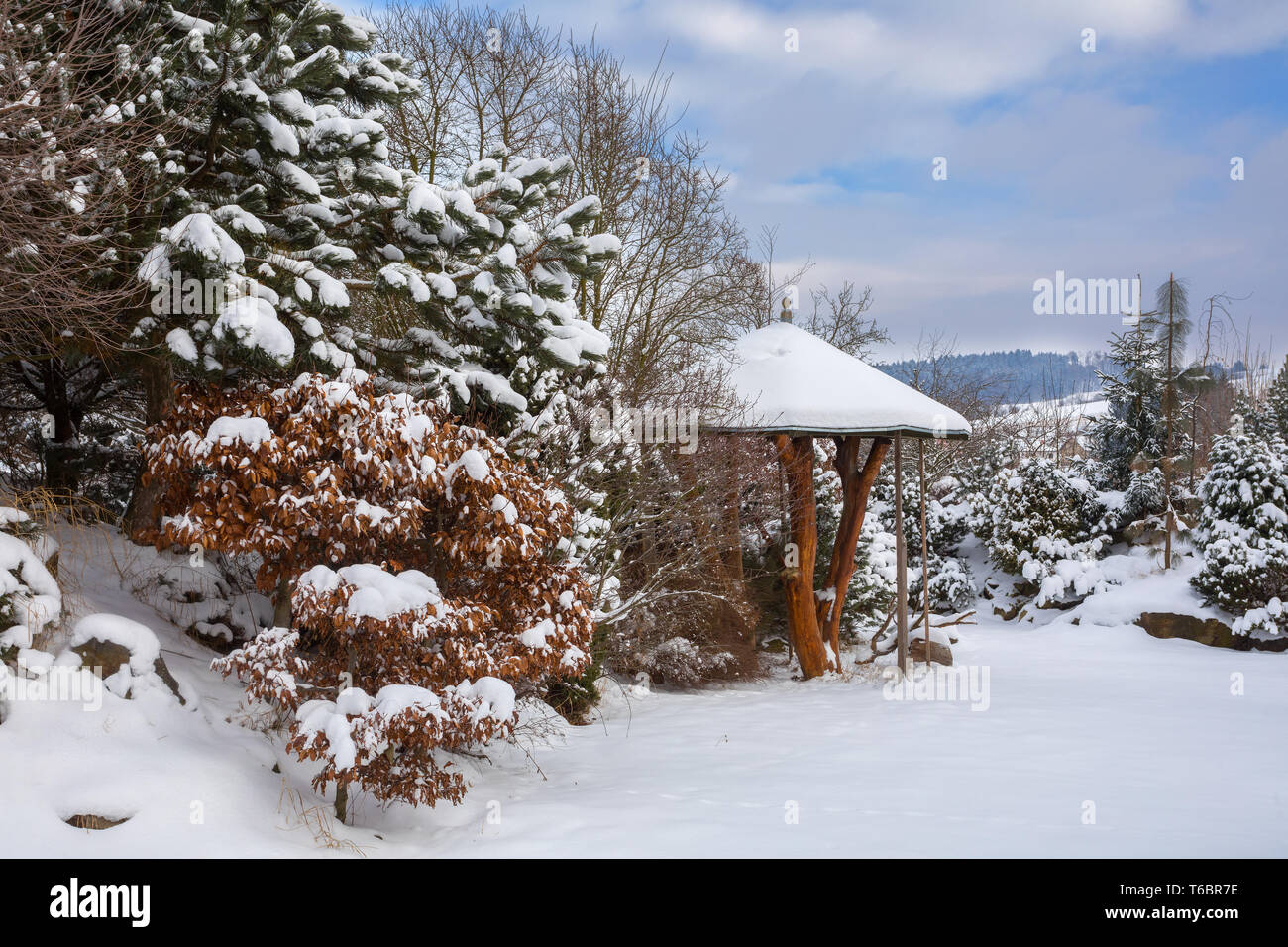 beautiful winter garden covered by snow Stock Photo
