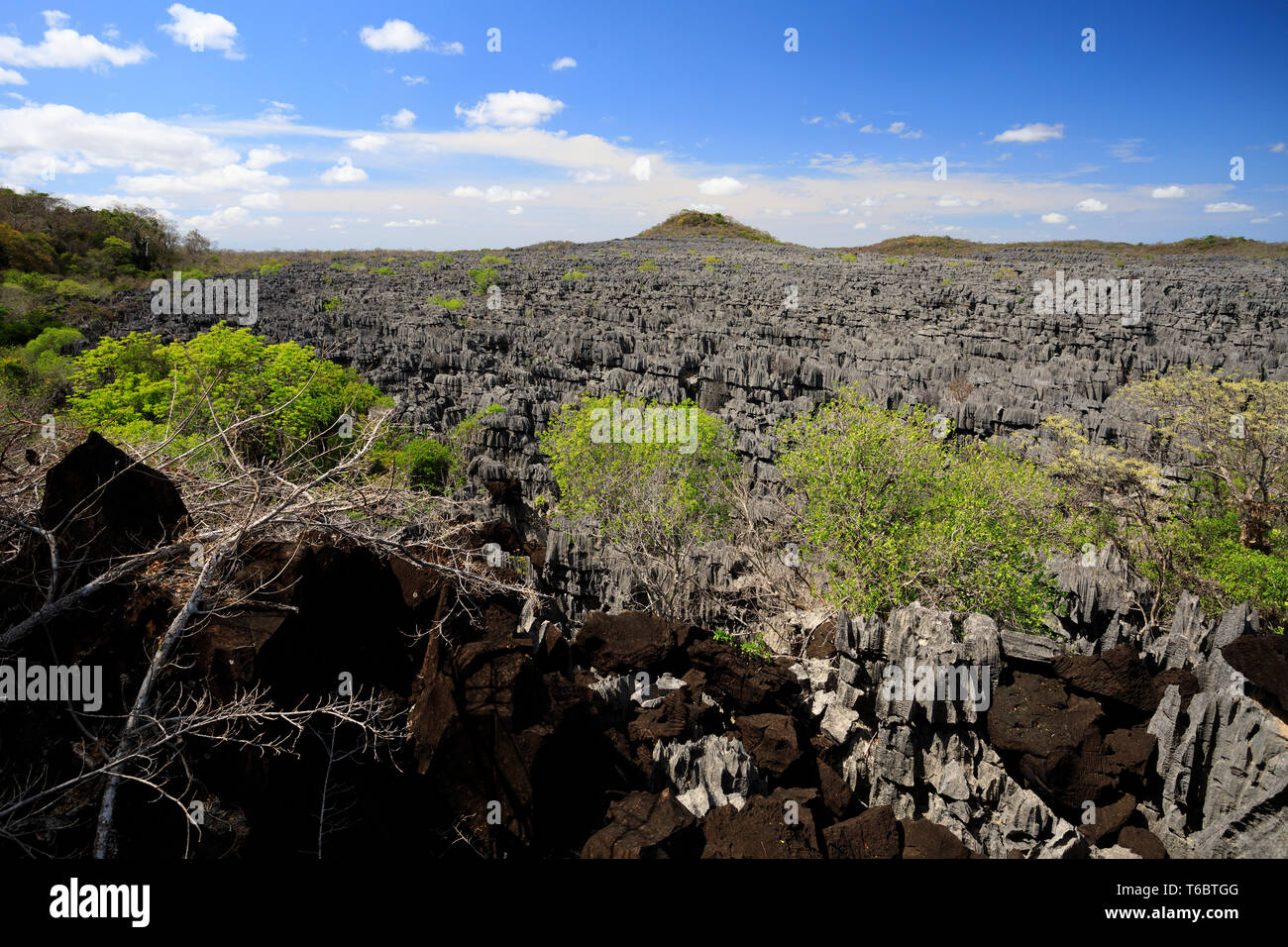 Tsingy rock formations in Ankarana, Madagascar wilderness Stock Photo