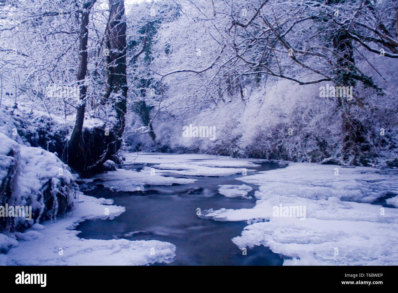 Winter River in Northern Ireland Stock Photo