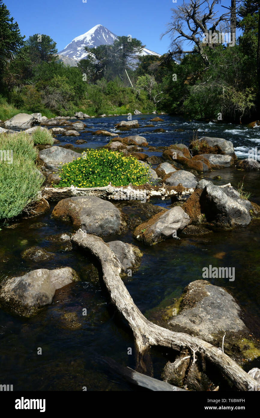 Creek with Lanin volcano, Lanin National Park, Argentina Stock Photo
