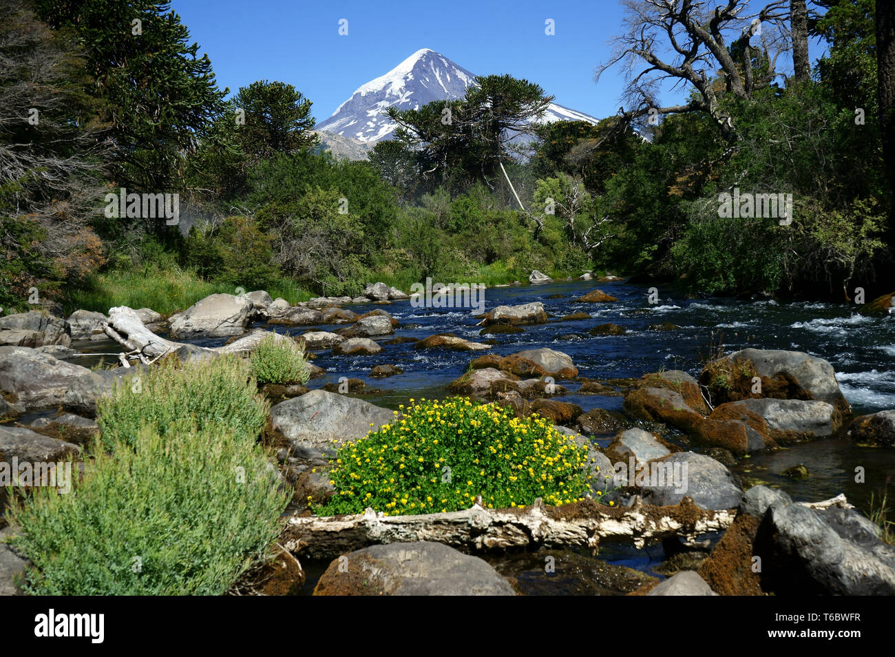 Creek with Lanin volcano, Lanin National Park, Argentina Stock Photo