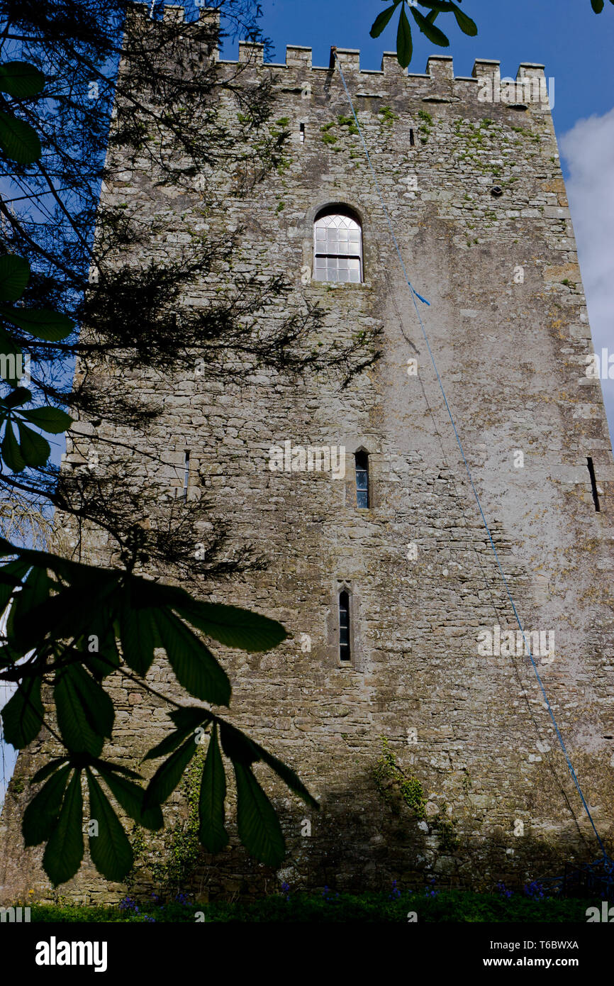 Mallow Castle, Ireland Stock Photo