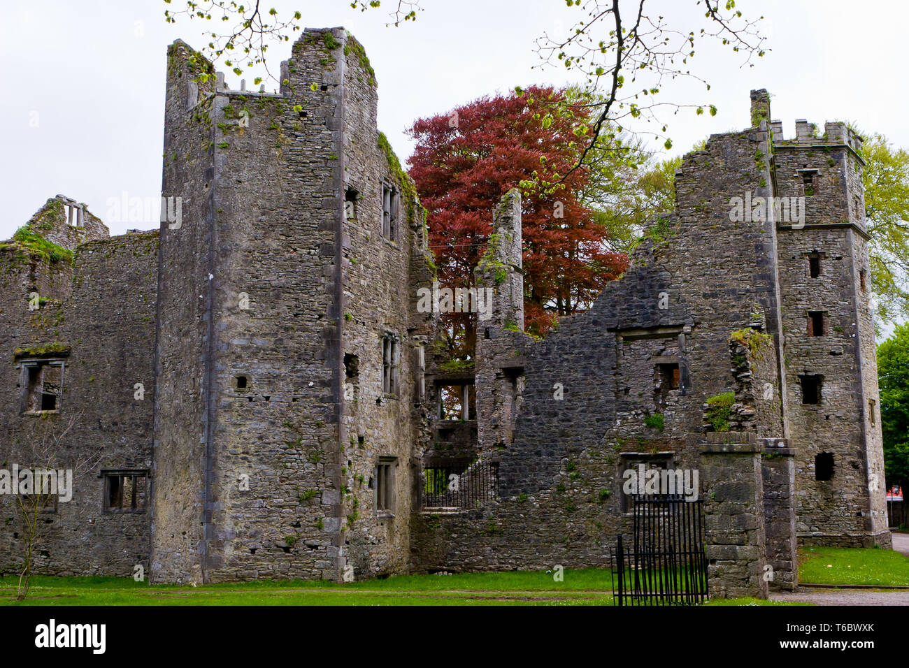 Mallow Castle, Ireland Stock Photo Alamy