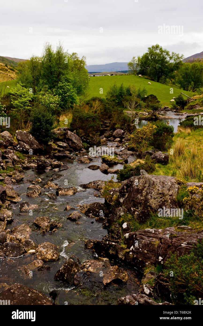 Mountain brook in County Cork, Ireland Stock Photo